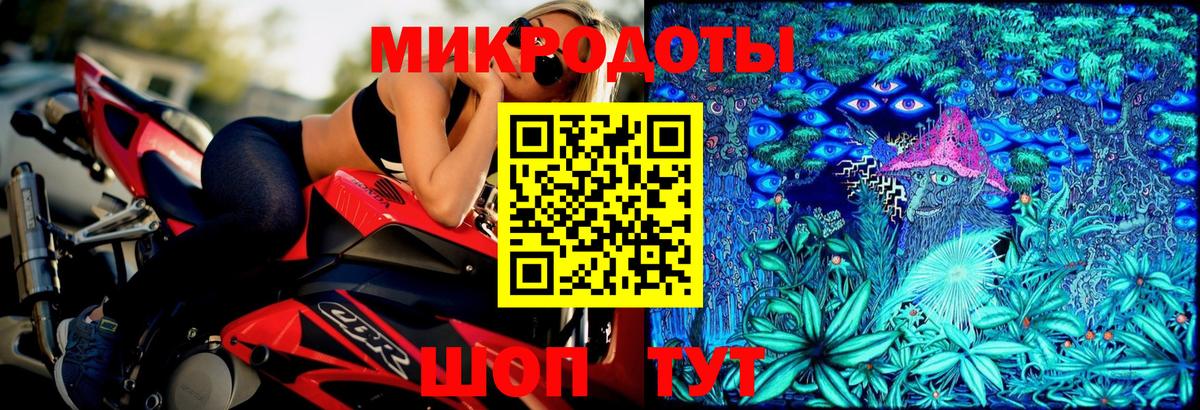 Псилоцибиновые грибы Cubensis Славянск-на-Кубани