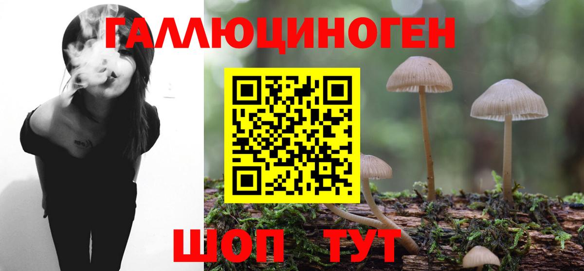 Славянск-на-Кубани  Галлюциногенные грибы мухоморы  Вход с VPN 